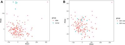 Modulation of Tumor Immune Microenvironment and Prognostic Value of Ferroptosis-Related Genes, and Candidate Target Drugs in Glioblastoma Multiforme